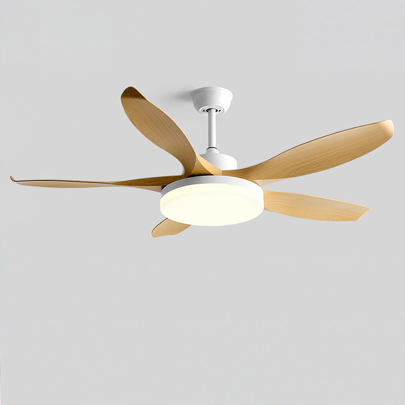Liororeria plafondventilator met verlichting