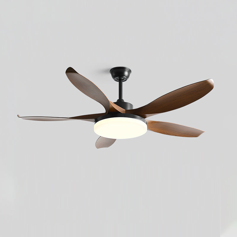 Liororeria plafondventilator met verlichting