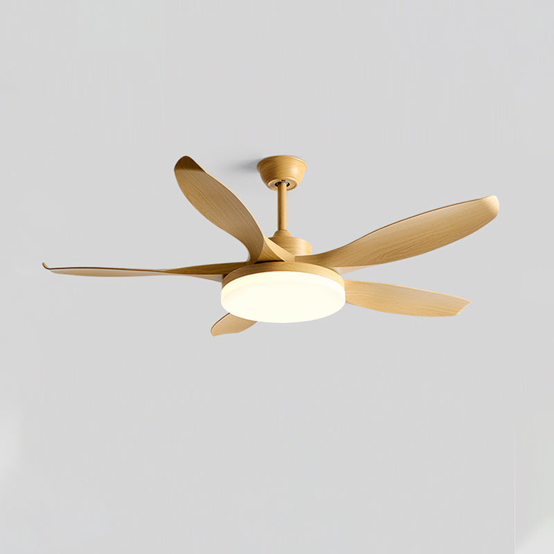 Liororeria plafondventilator met verlichting