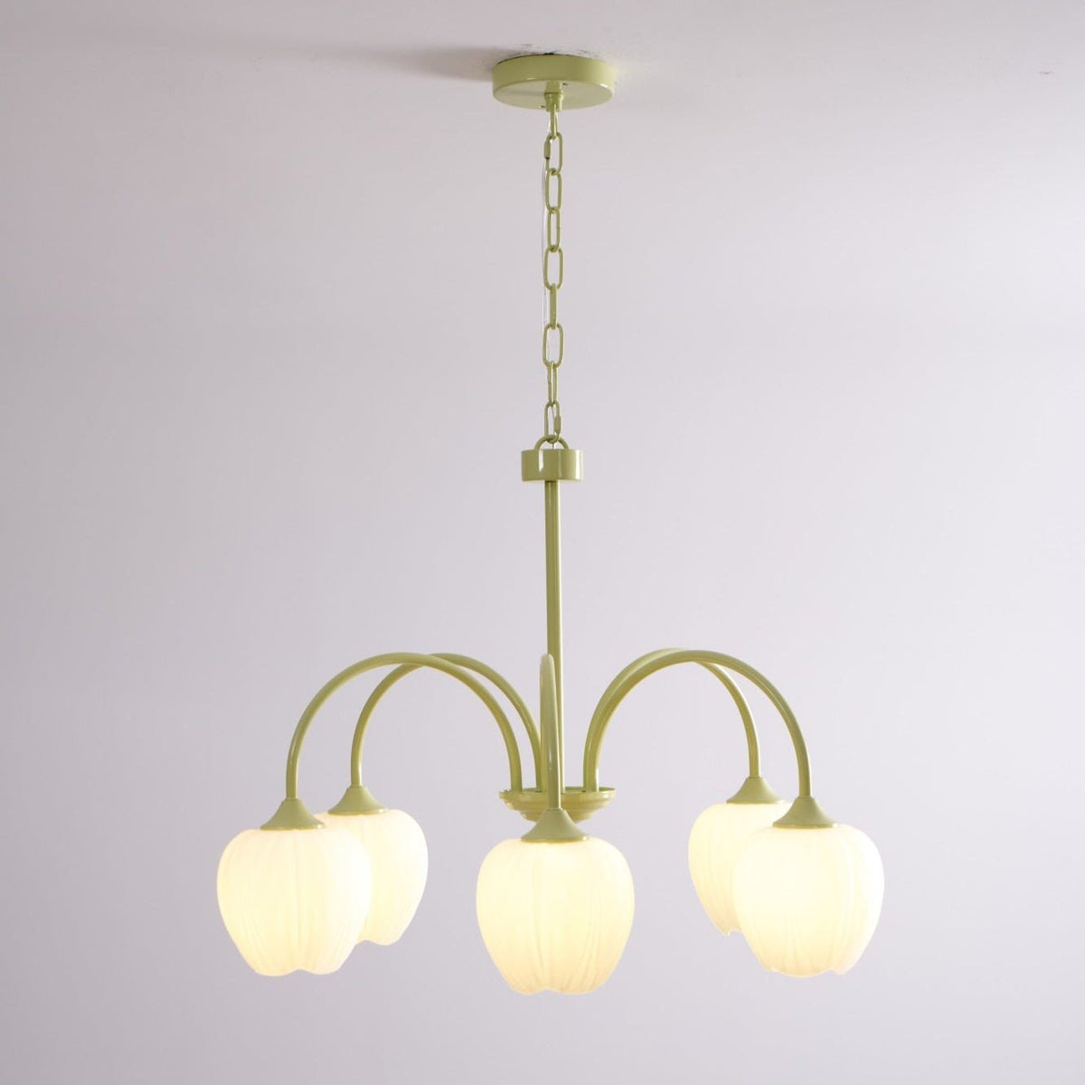 Eiraine kroonluchter Tulip Matcha glas