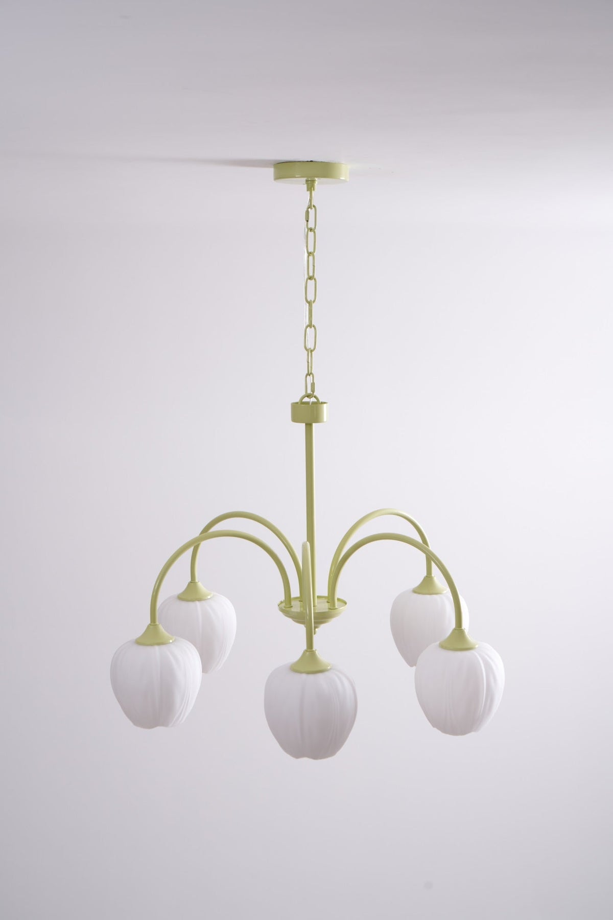 Eiraine kroonluchter Tulip Matcha glas