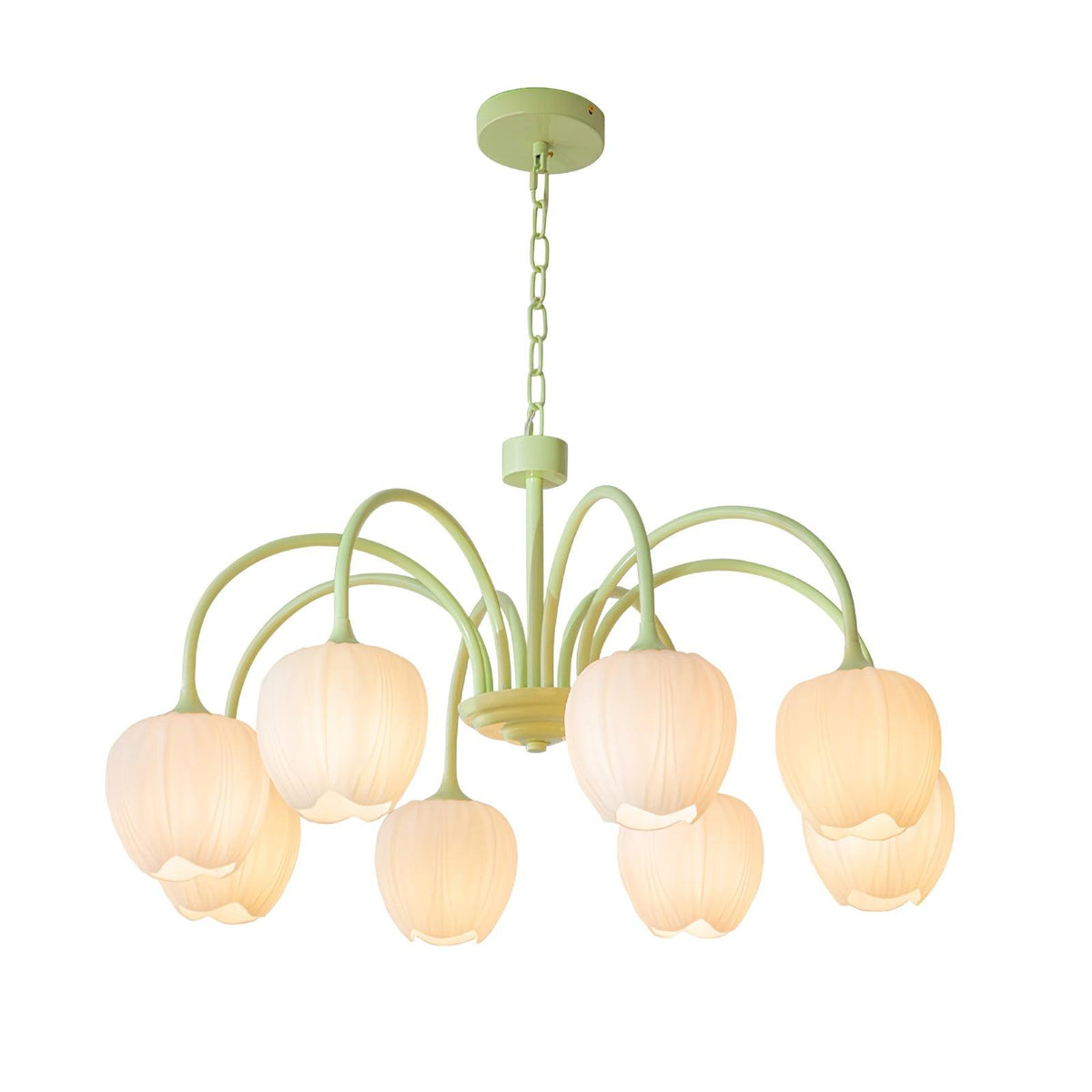 Eiraine kroonluchter Tulip Matcha glas