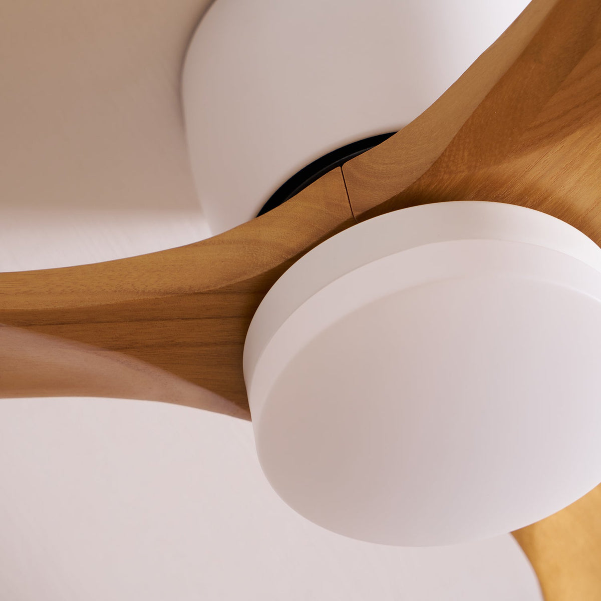 Miroise plafondventilator met verlichting
