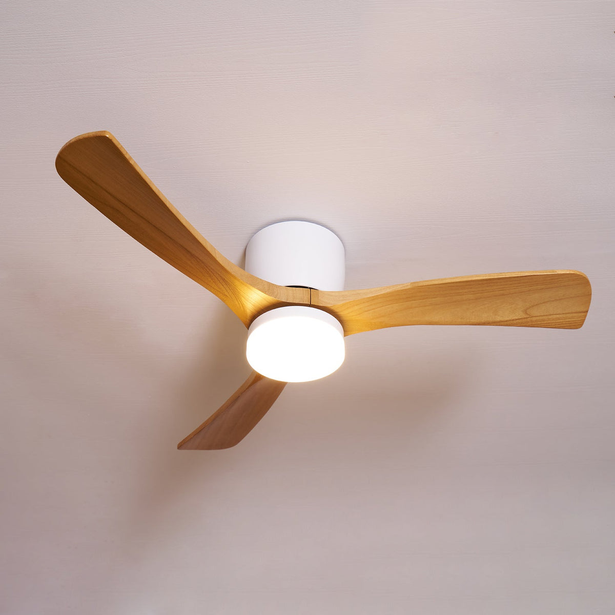 Miroise plafondventilator met verlichting