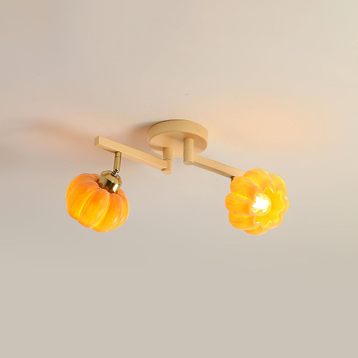 Sororeon plafondlamp