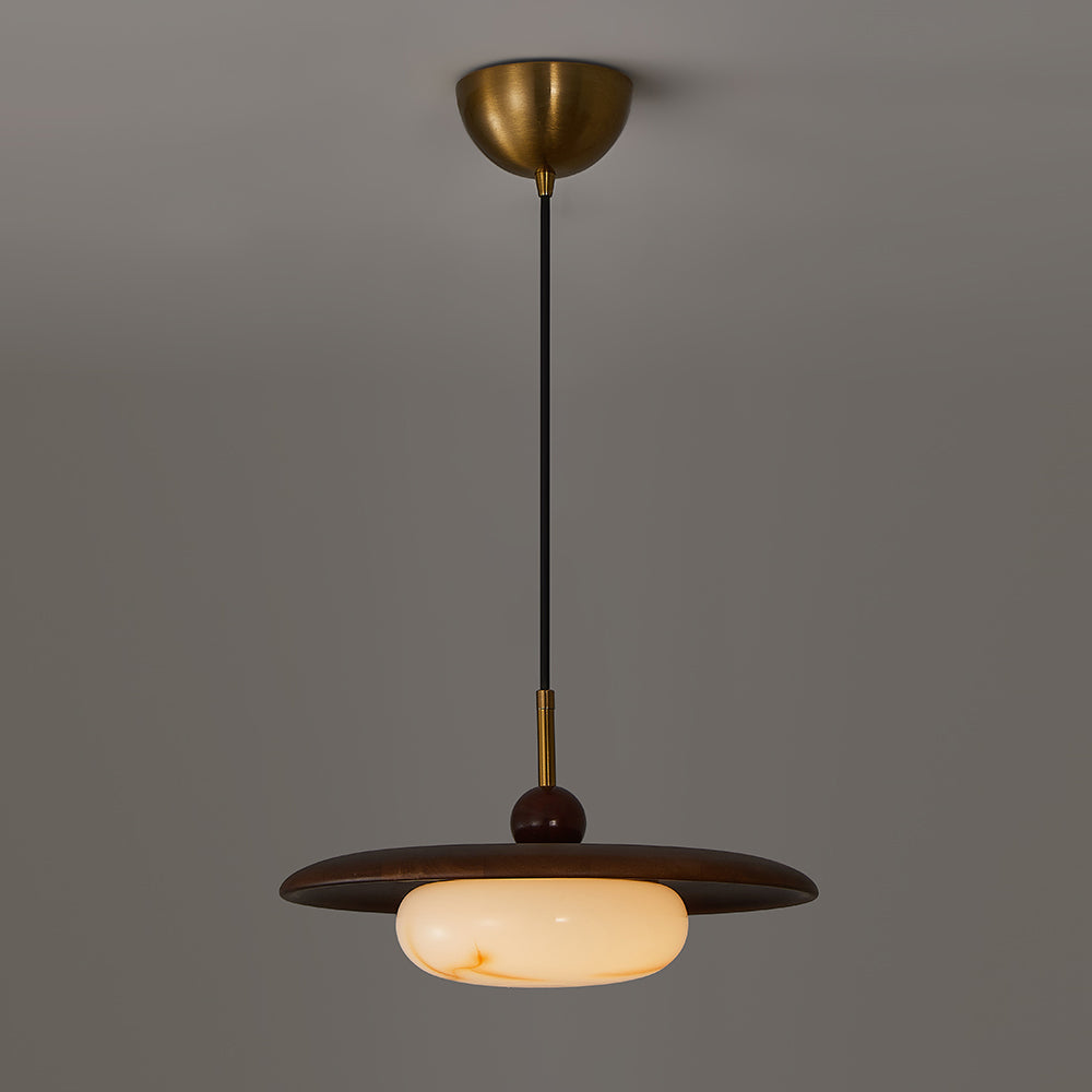 Viraeriella hanglamp