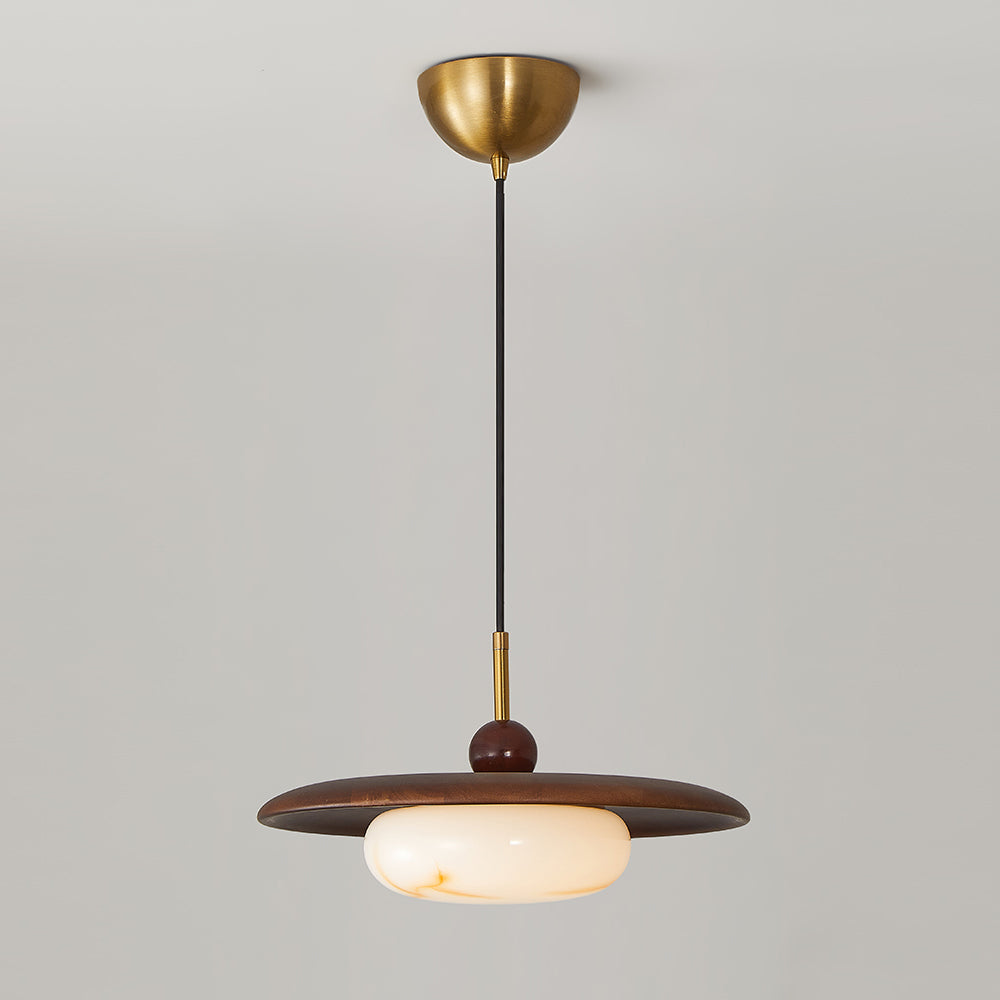 Viraeriella hanglamp
