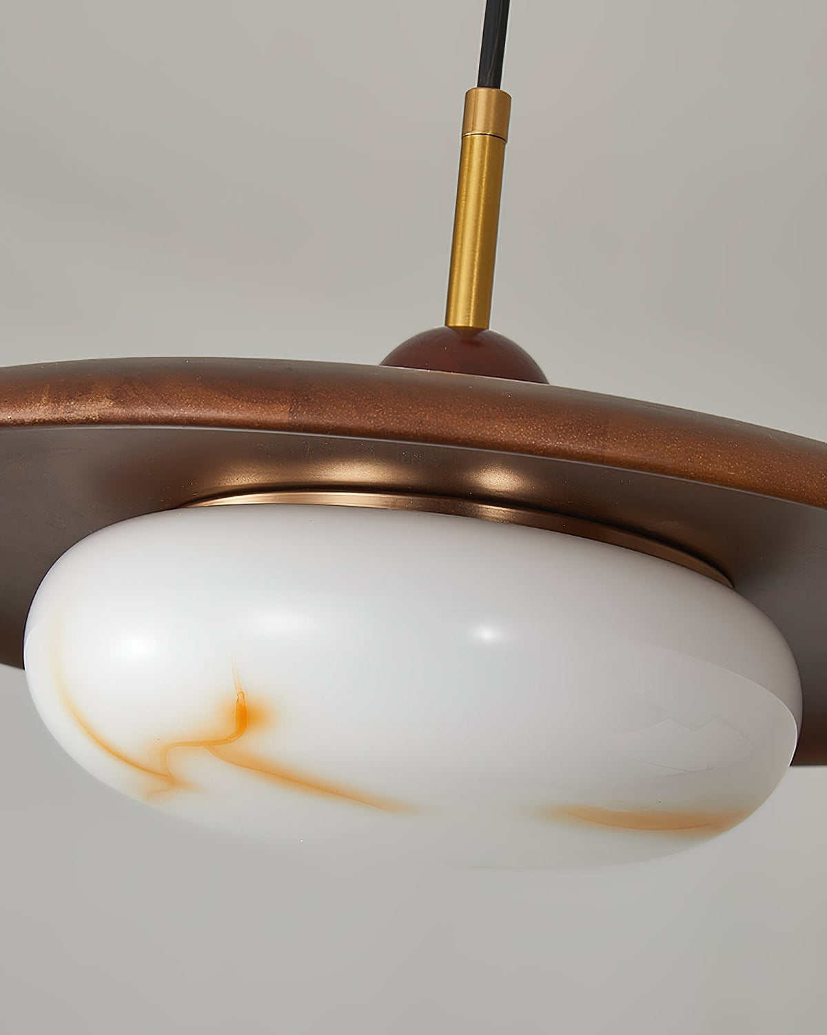 Viraeriella hanglamp