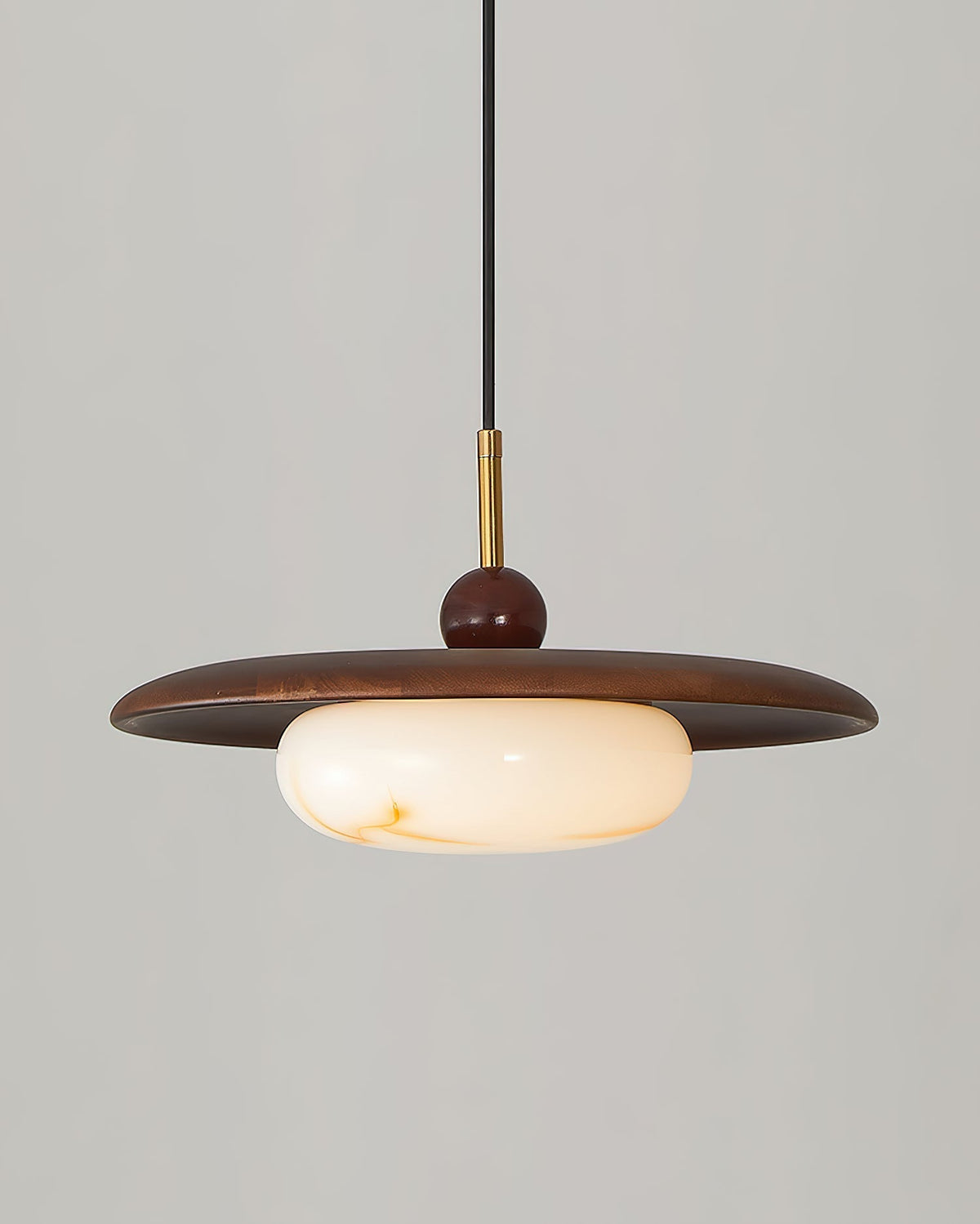 Viraeriella hanglamp