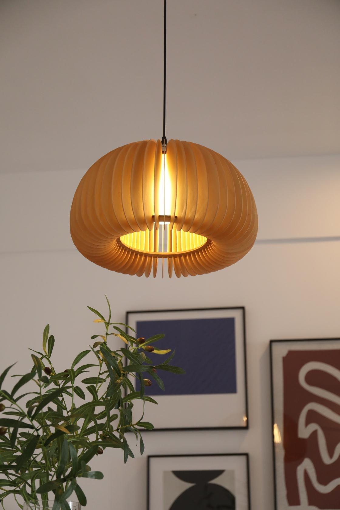 Doren hanglamp hout pompoen koepel noordisch